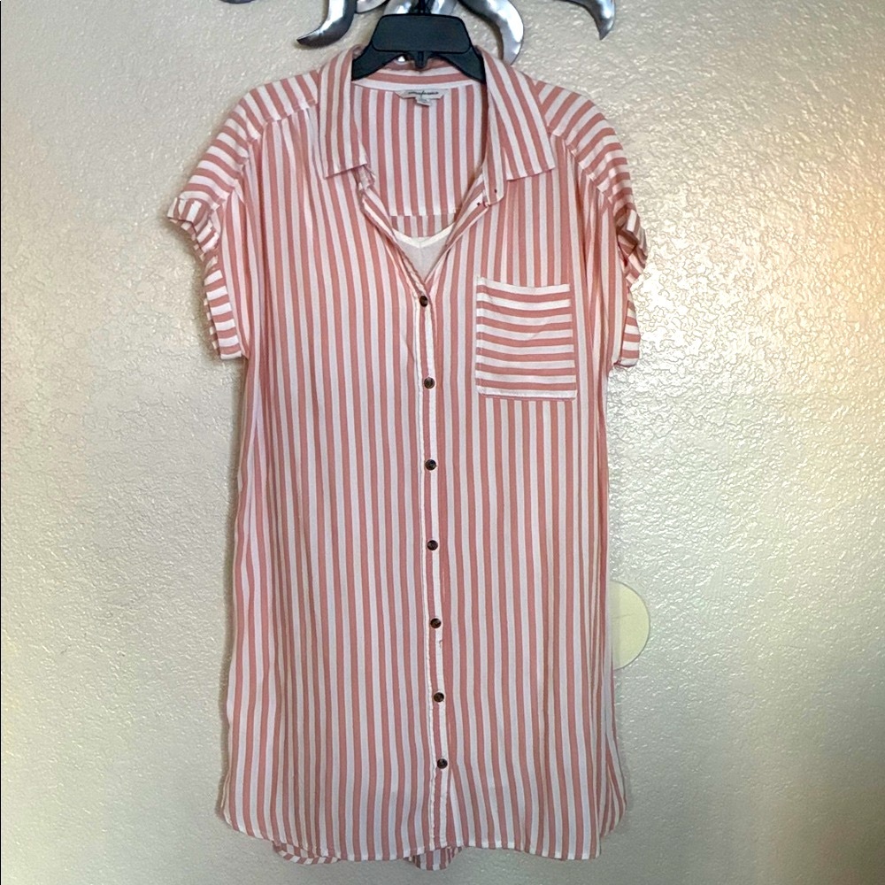 Striped Button Down Shirt Dress w/Liner